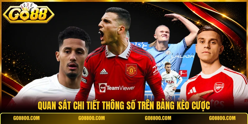 Quan sát chi tiết thông số trên bảng kèo cược